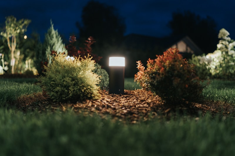 Garden landscape lighting at night